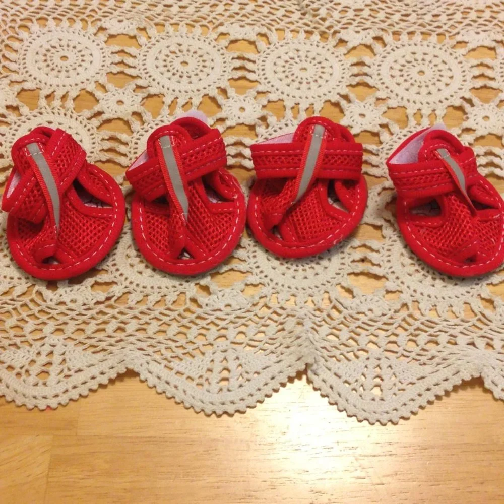 Adorable itty bitty doggie mesh shoes